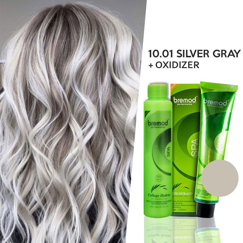 10.01-Silver-Gray.jpg Bremod Performance 10.01 Silver Gray SPA Hair Color