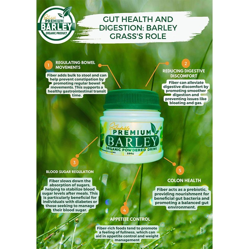 Barley-Organic-Powder-1.jpg Saludable Premium Barley Organic Powdered Drink 100g